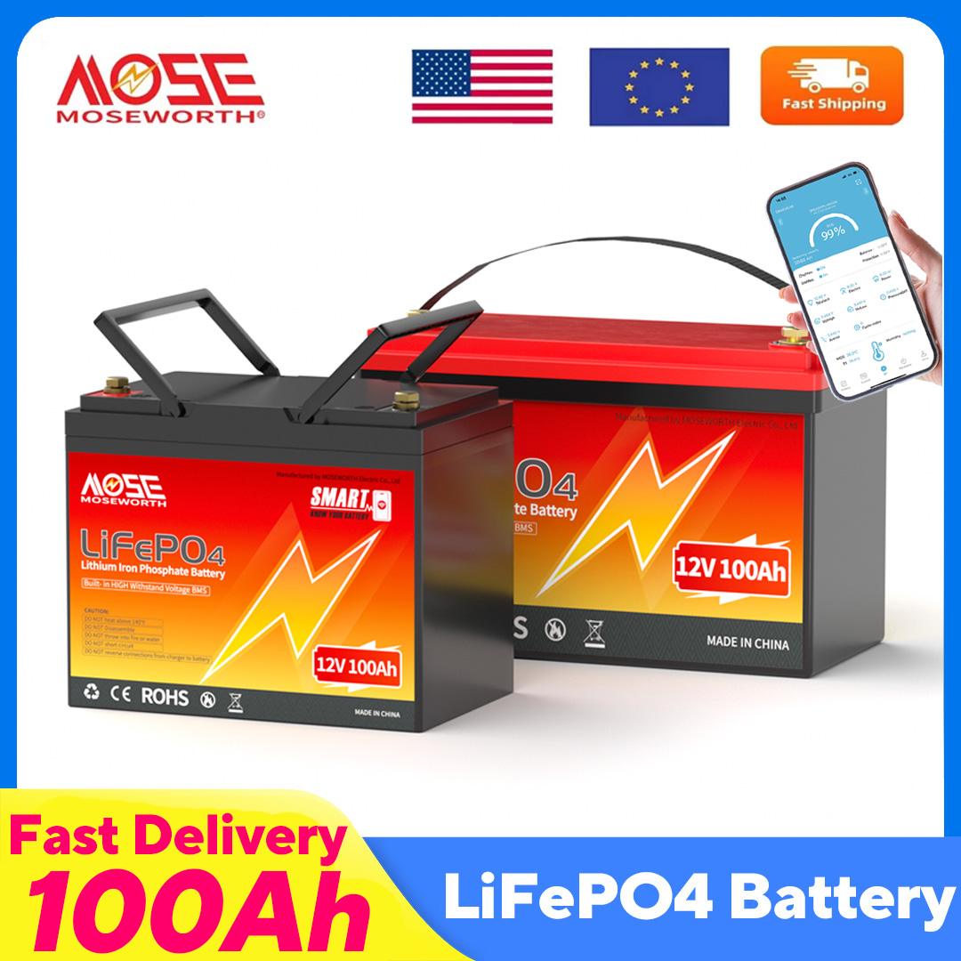 MOSEWORTH LiFePO4 12V 100Ah 배터 - Lifepo4 12V 100Ah Bms Bluetooth 리뷰 및 가격